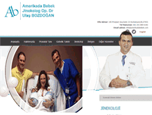 Tablet Screenshot of amerikadabebek.com